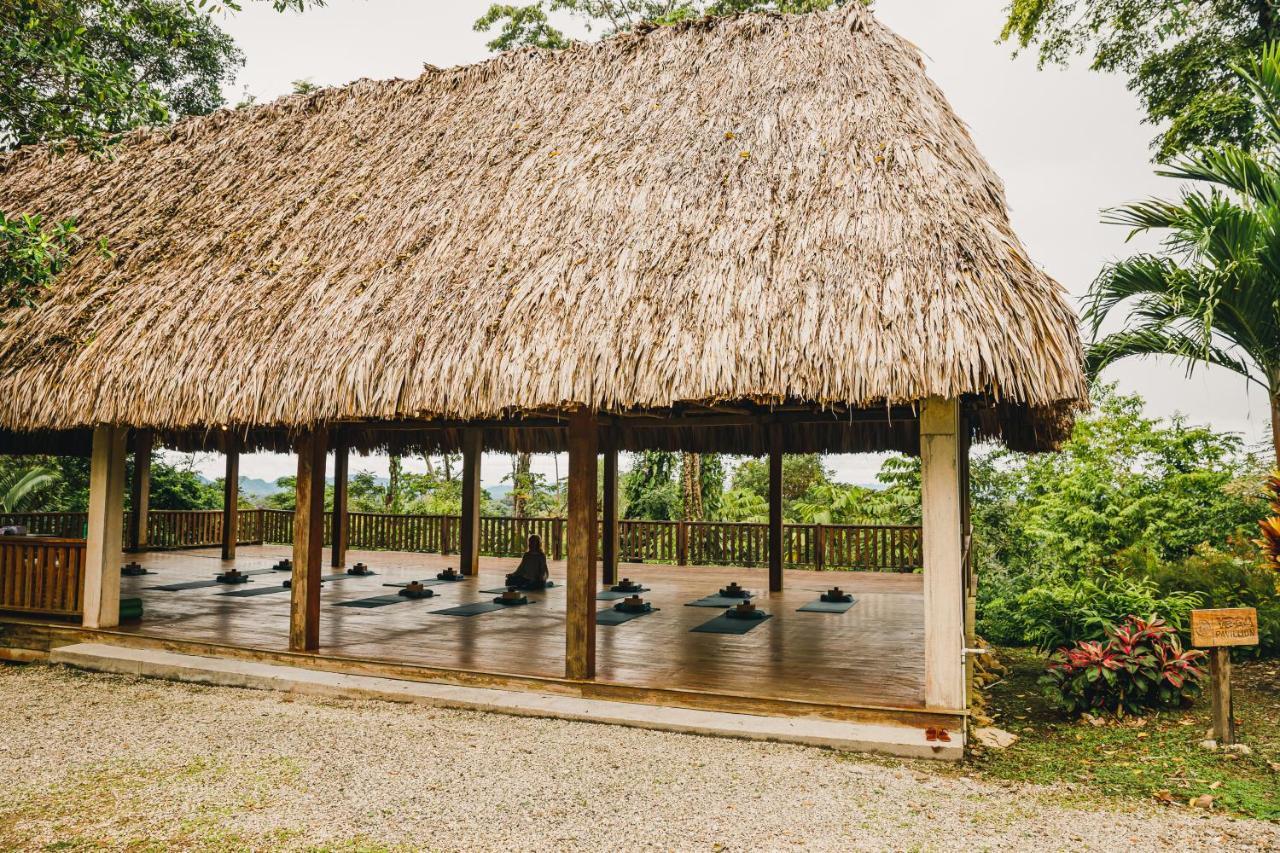 Copal Tree Lodge A Muy'Ono Resort Toledo District Luaran gambar