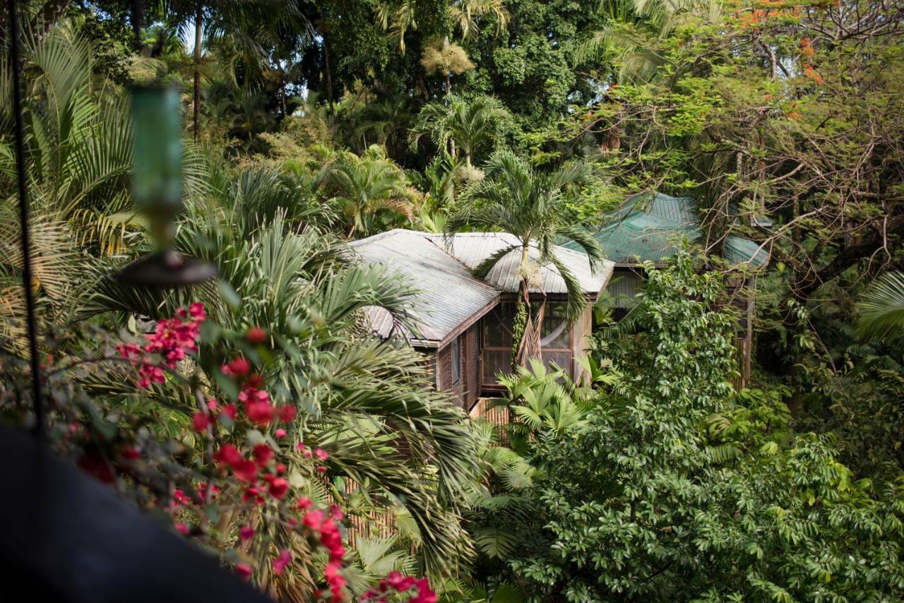 Copal Tree Lodge A Muy'Ono Resort Toledo District Luaran gambar