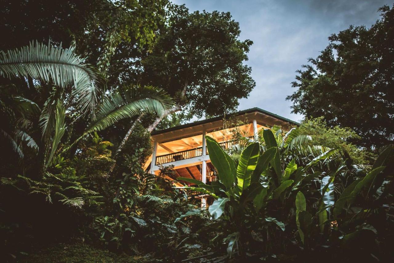 Copal Tree Lodge A Muy'Ono Resort Toledo District Luaran gambar