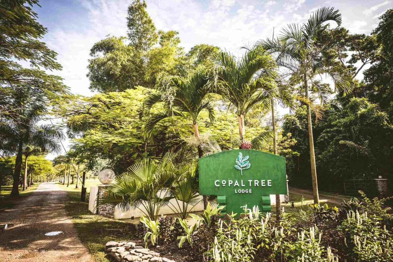 Copal Tree Lodge A Muy'Ono Resort Toledo District Luaran gambar